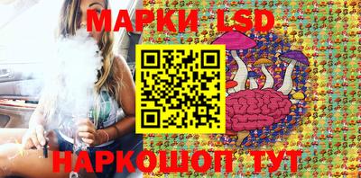 амф Донской