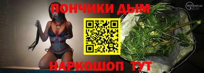 амф Дубна