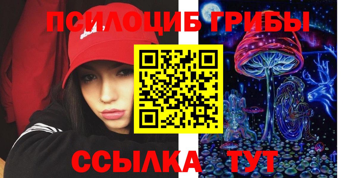 Псилоцибиновые грибы Psilocybine cubensis  Вход с VPN  Нижний Новгород 