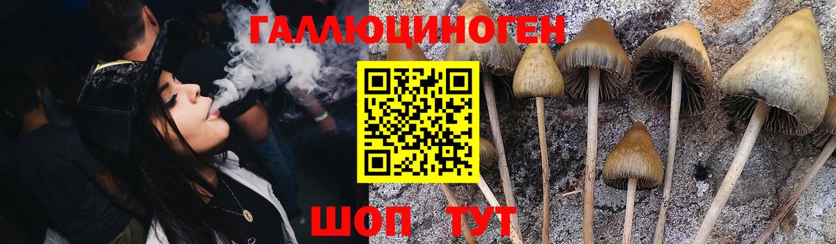 Галлюциногенные грибы GOLDEN TEACHER Нижний Новгород